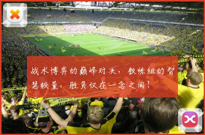 战术博弈的巅峰对决,教练组的智慧较量,胜负仅在一念之间!