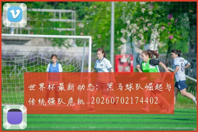 世界杯最新动态:黑马球队崛起与传统强队危机_20260702174402